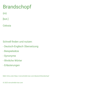 Wie schreibt man Brandschopf? Bedeutung, Synonym, Antonym & Zitate.