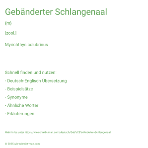 Wie schreibt man Gebänderter Schlangenaal? Bedeutung, Synonym, Antonym & Zitate.
