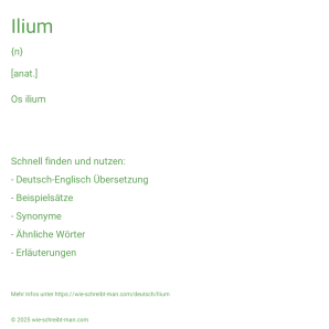 Wie schreibt man Ilium? Bedeutung, Synonym, Antonym & Zitate.