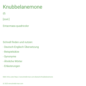 Wie schreibt man Knubbelanemone? Bedeutung, Synonym, Antonym & Zitate.