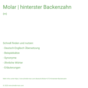 Wie schreibt man Molar | hinterster Backenzahn? Bedeutung, Synonym, Antonym & Zitate.