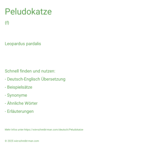 Wie schreibt man Peludokatze? Bedeutung, Synonym, Antonym & Zitate.