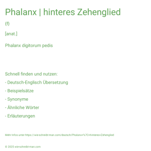 Wie schreibt man Phalanx | hinteres Zehenglied? Bedeutung, Synonym, Antonym & Zitate.