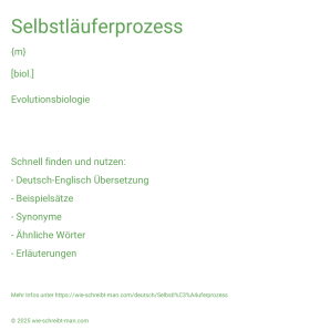 Wie schreibt man Selbstläuferprozess? Bedeutung, Synonym, Antonym & Zitate.