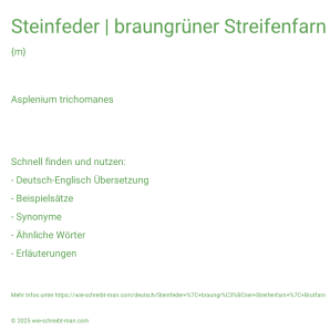 Wie schreibt man Steinfeder | braungrüner Streifenfarn | Brutfarn? Bedeutung, Synonym, Antonym & Zitate.