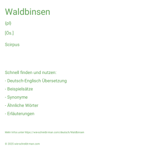 Wie schreibt man Waldbinsen? Bedeutung, Synonym, Antonym & Zitate.