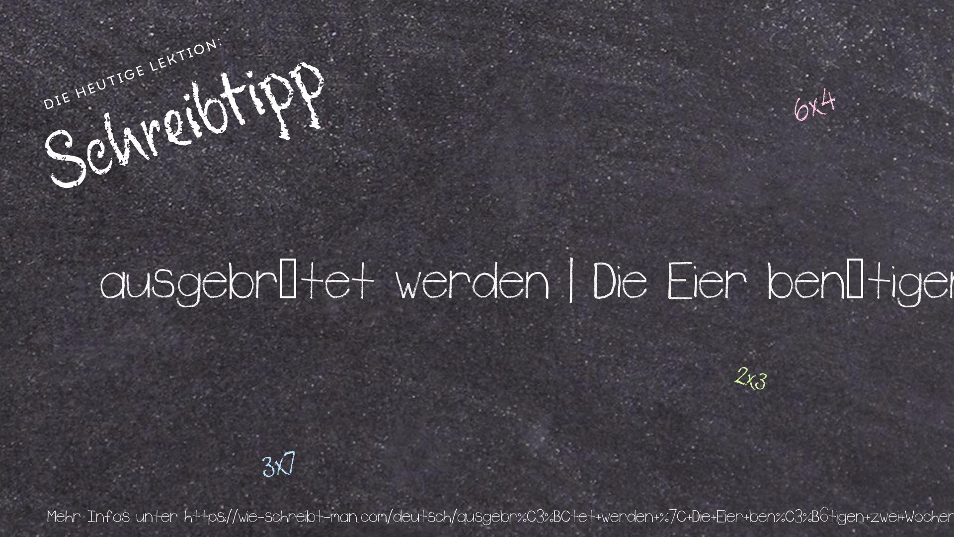 Schreibtipp ausgebrütet werden | Die Eier benötigen zwei Wochen zum Ausbrüten.