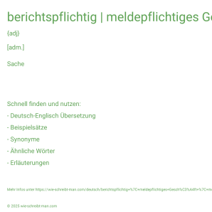 Wie schreibt man berichtspflichtig | meldepflichtiges Geschäft | meldepflichtige Positionen? Bedeutung, Synonym, Antonym & Zitate.