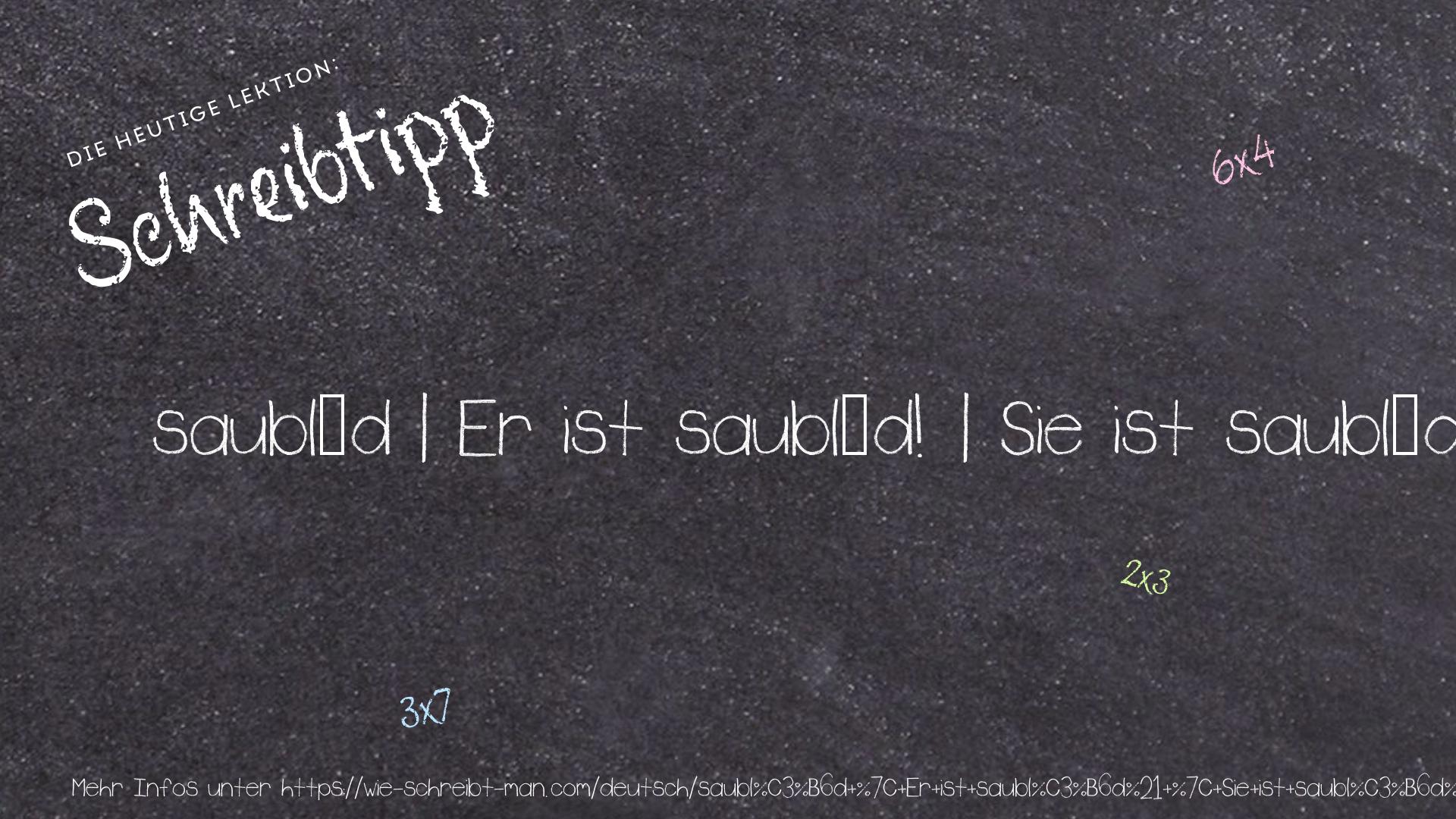 Schreibtipp saublöd | Er ist saublöd! | Sie ist saublöd!