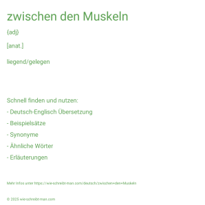 Wie schreibt man zwischen den Muskeln? Bedeutung, Synonym, Antonym & Zitate.